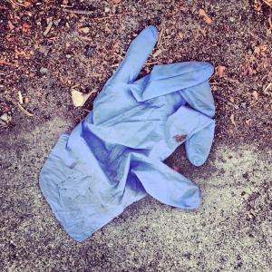 1011086_10202576871556947_245617990_n