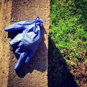 1779985_10202576871196938_704151384_n