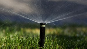 East Bay District Faces Likely Water Rationing