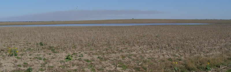 How a barren field today might also appear in the future.