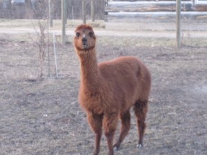 AA8B42EA-943E-4EE5-9253-7950090E9677