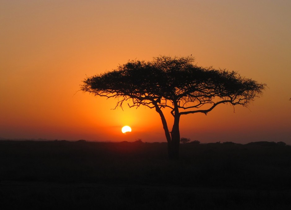 051514_0322_WhyDoBooksO1-2