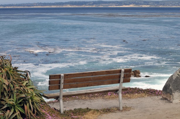 seasidebench