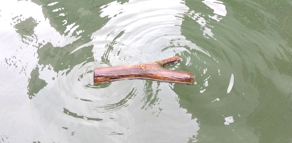 invitation to a dissipation copy